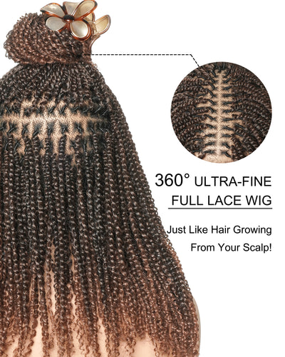 Pona - Perruque tressée Micro Passion Twist en dentelle complète suisse HD de 14 po