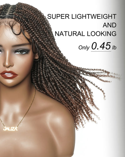 Pona - Perruque tressée Micro Passion Twist en dentelle complète suisse HD de 14 po