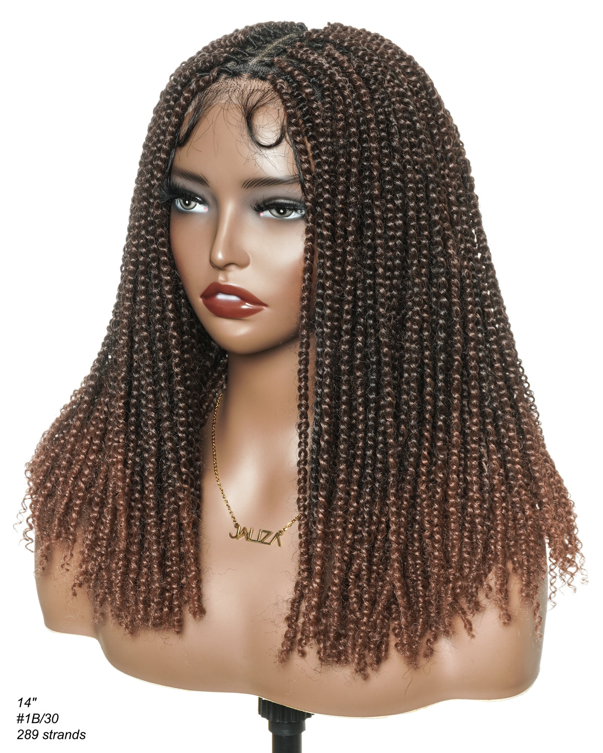 Pona - Perruque tressée Micro Passion Twist en dentelle complète suisse HD de 14 po