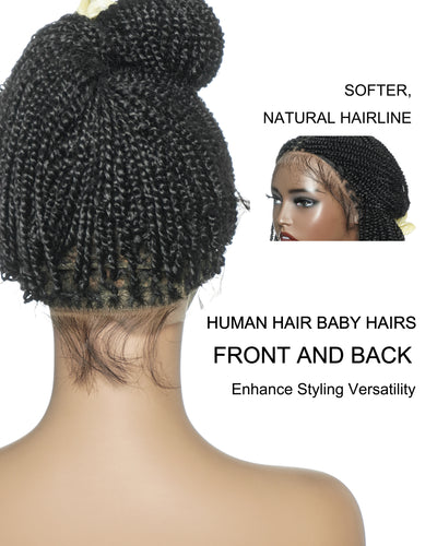 Pona - Perruque tressée Micro Passion Twist en dentelle complète suisse HD de 14 po