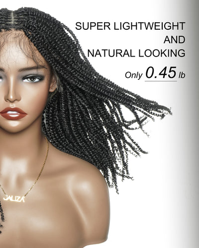 Pona - Perruque tressée Micro Passion Twist en dentelle complète suisse HD de 14 po